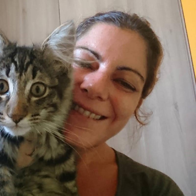 sophie et compagnie pet sitter chat